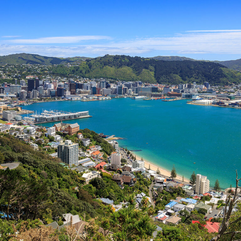 Hottest Businesses to Buy Right Now in Wellington