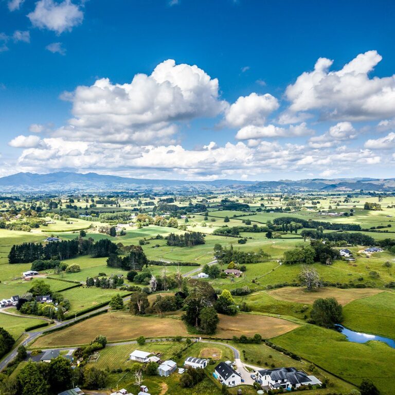 Investing in a Waikato Business