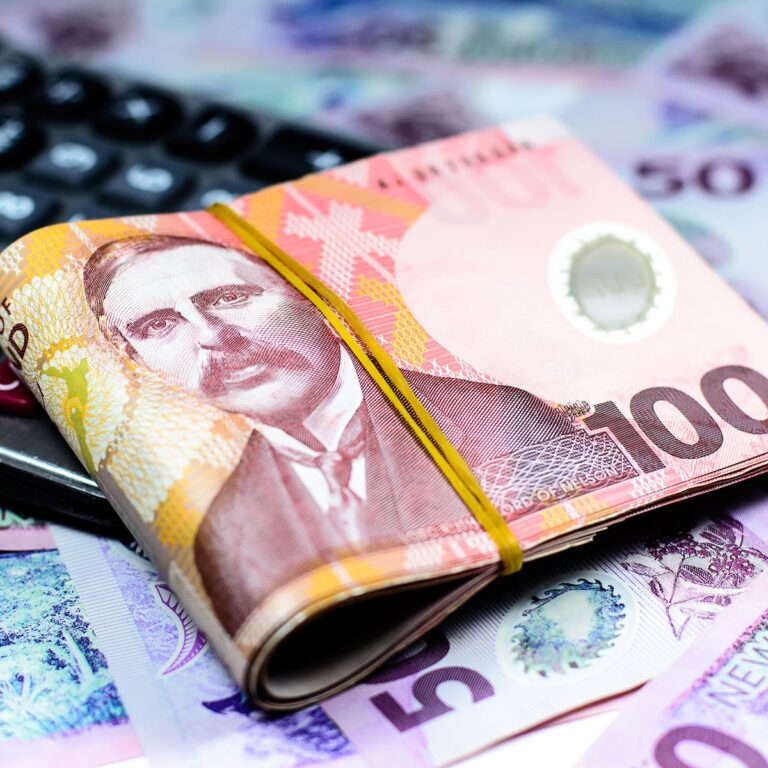 Why Consider Investing in a Business In New Zealand?