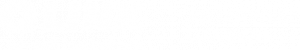 LINK-Logo-White